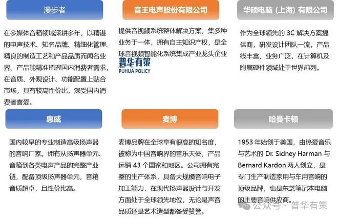 器行业市场调研及发展趋势预测报告2025-2031年计算机扬声
